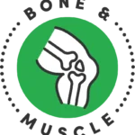 Bone & Muscles-category bone muscle category icon