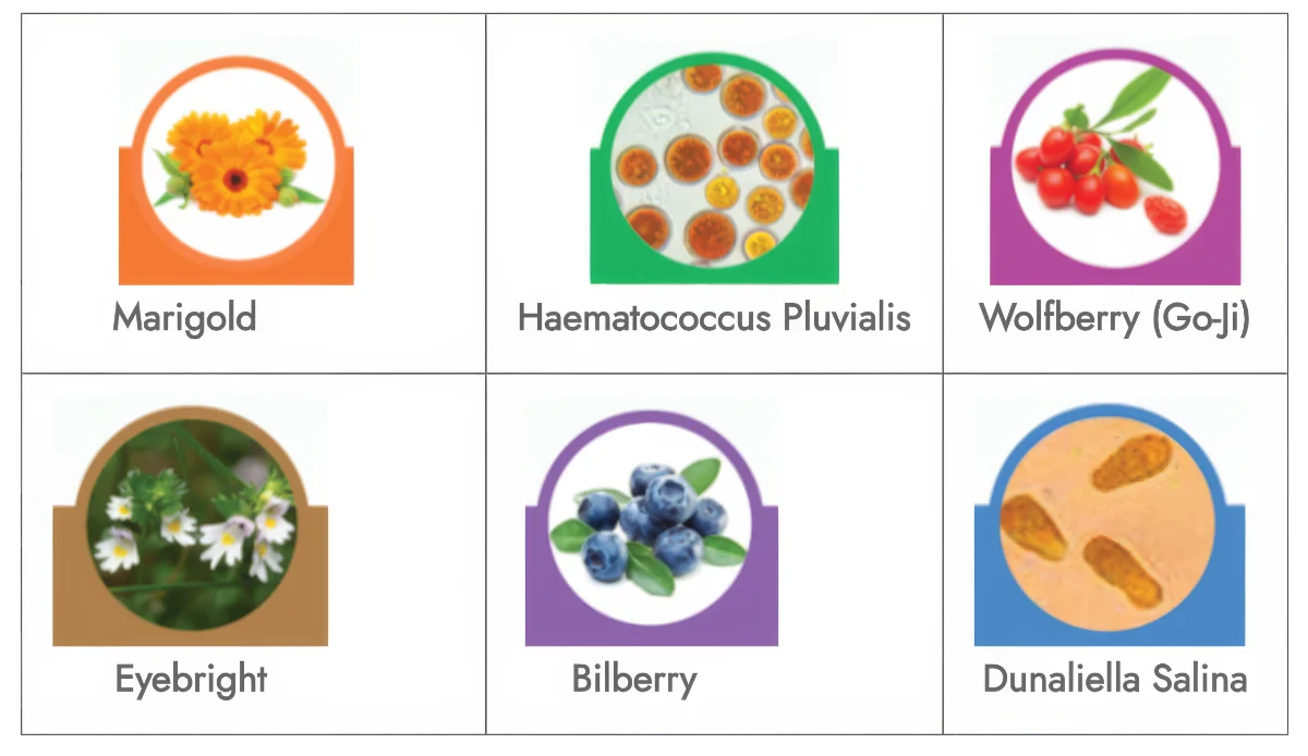 optibrite-e-ingredients