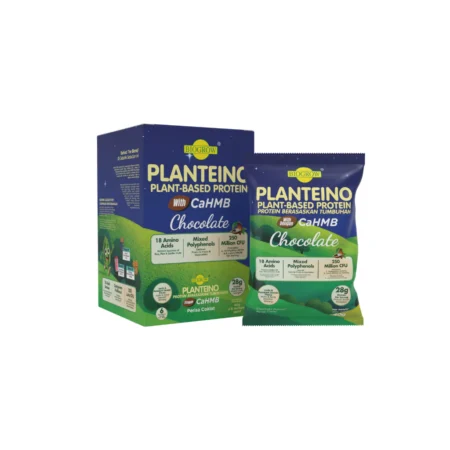 Biogrow Planteino Plant-Based Protein Chocolate